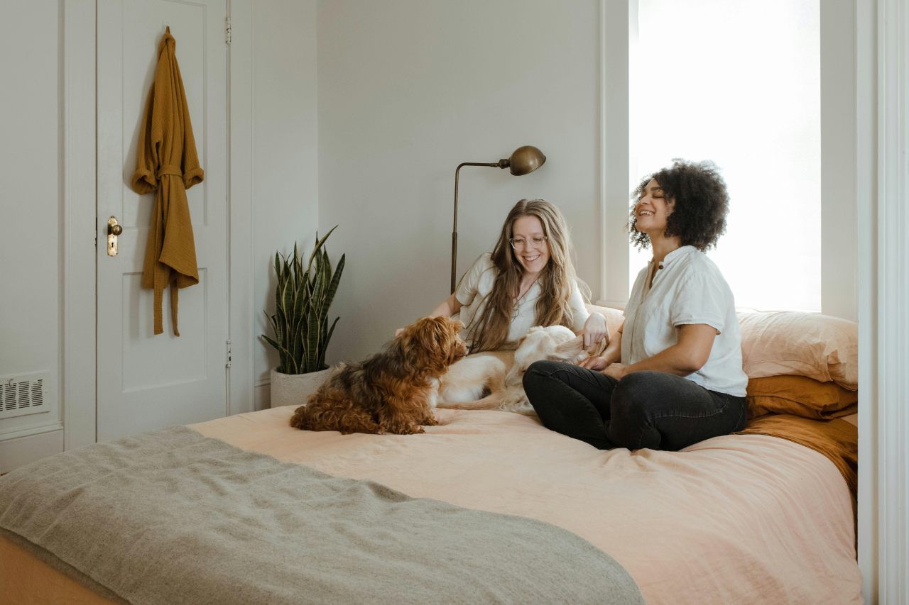 indoor air quality