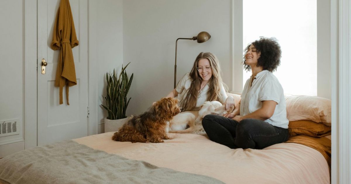 indoor air quality